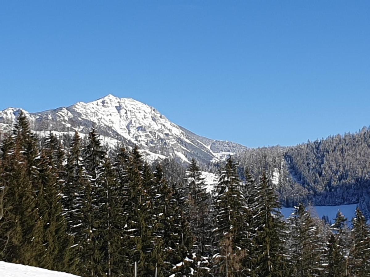 Biobauernhof Obereck Daire Göstling an der Ybbs Dış mekan fotoğraf