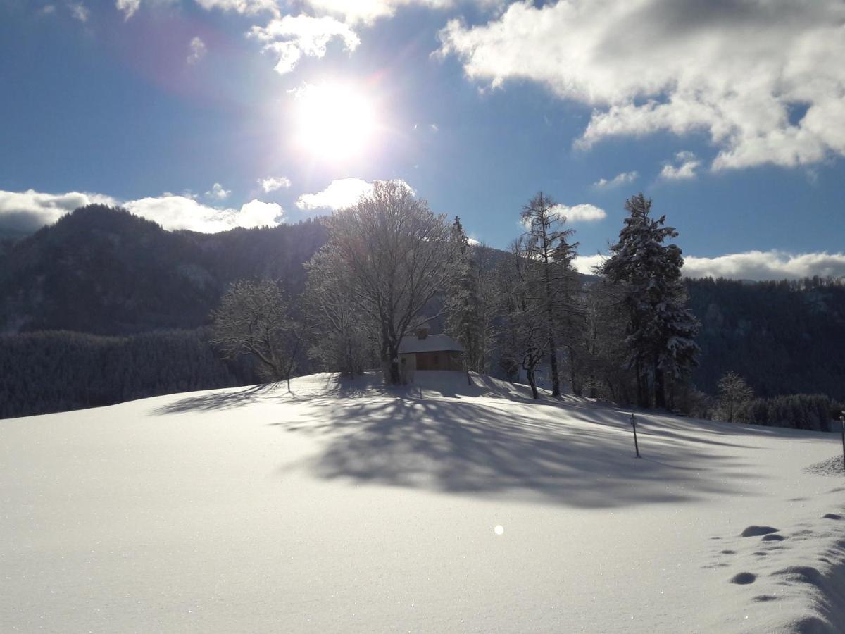Biobauernhof Obereck Daire Göstling an der Ybbs Dış mekan fotoğraf