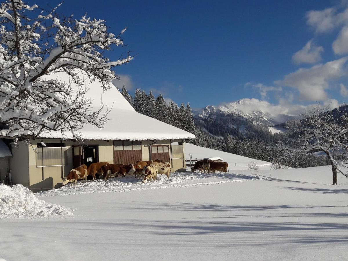 Biobauernhof Obereck Daire Göstling an der Ybbs Dış mekan fotoğraf