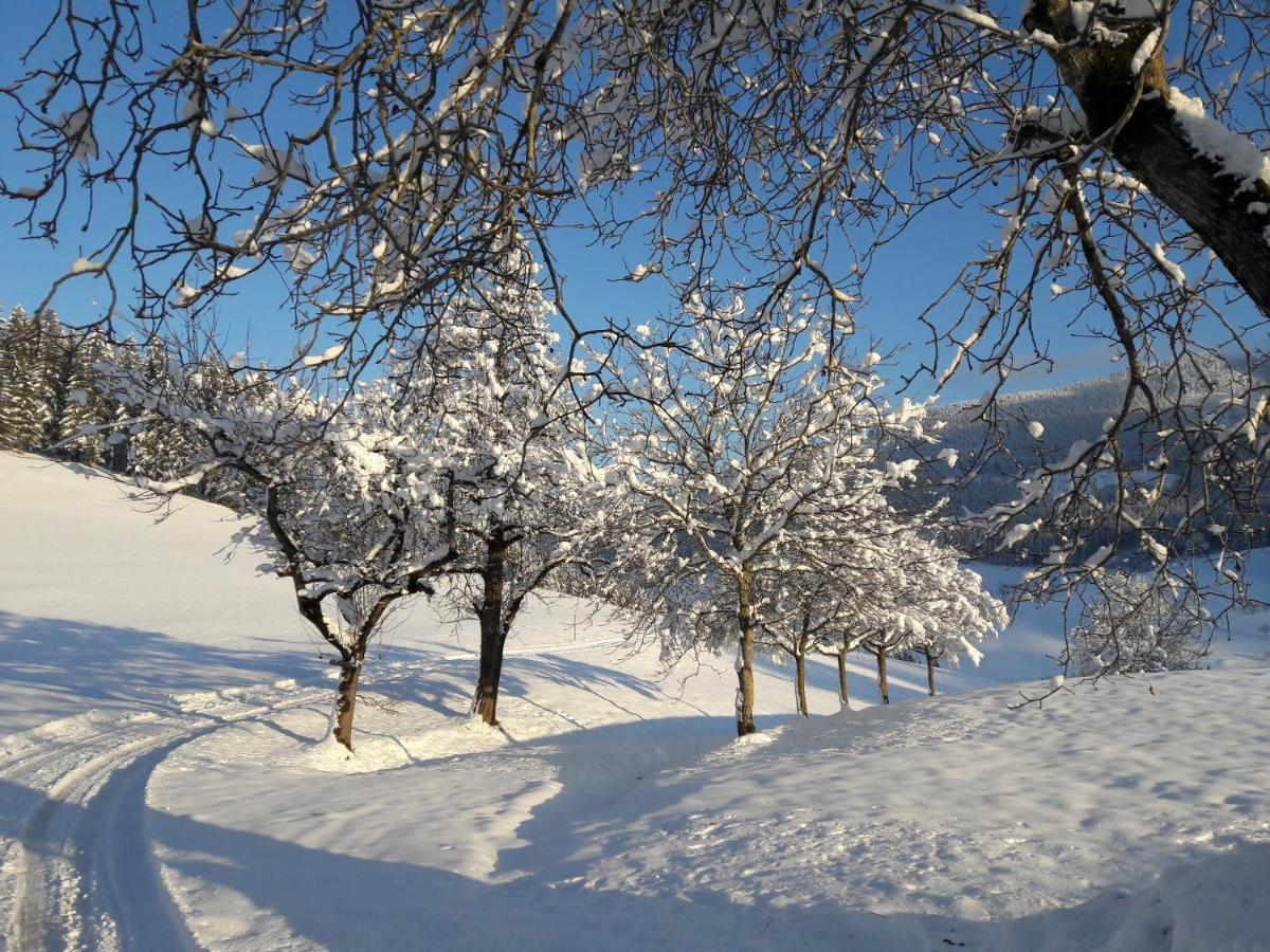 Biobauernhof Obereck Daire Göstling an der Ybbs Dış mekan fotoğraf