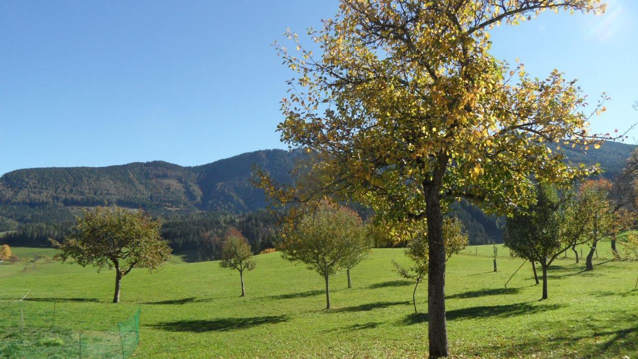 Biobauernhof Obereck Daire Göstling an der Ybbs Dış mekan fotoğraf