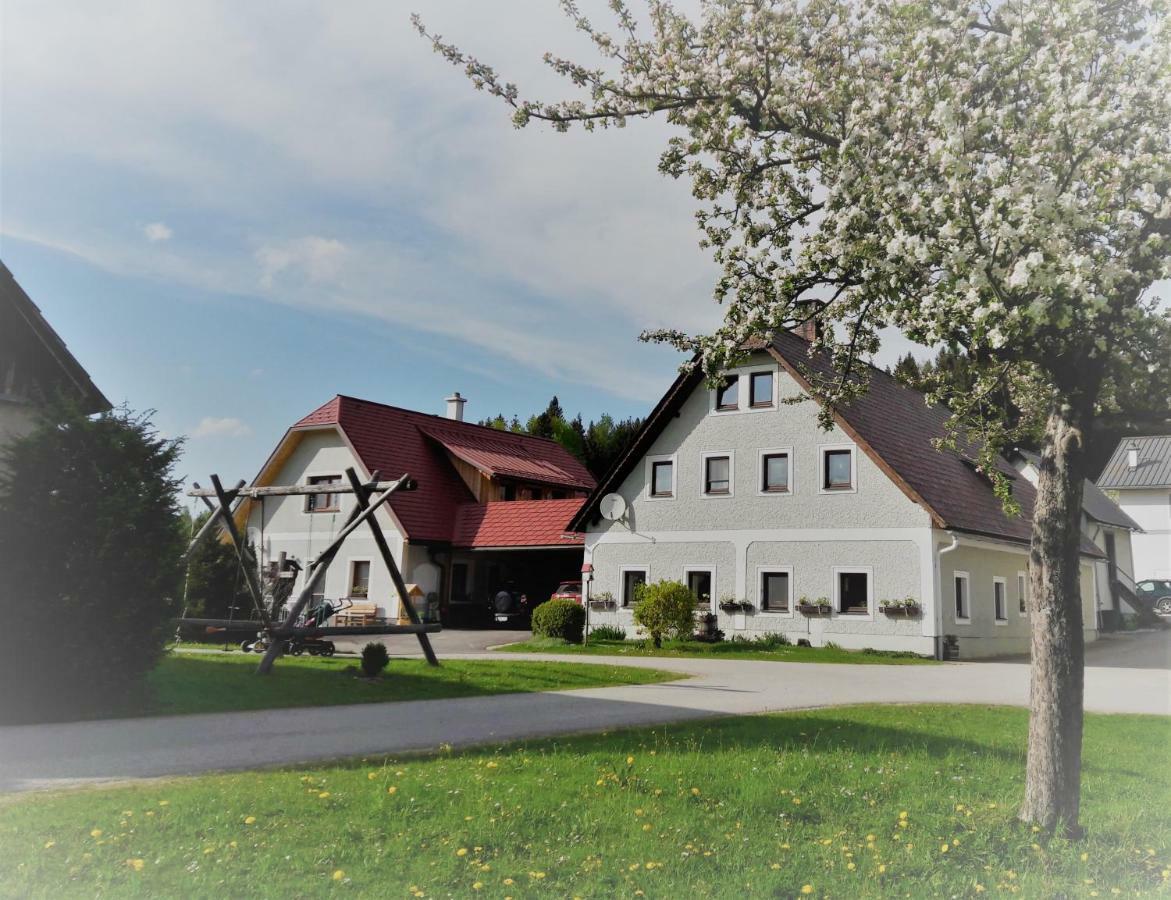 Biobauernhof Obereck Daire Göstling an der Ybbs Dış mekan fotoğraf
