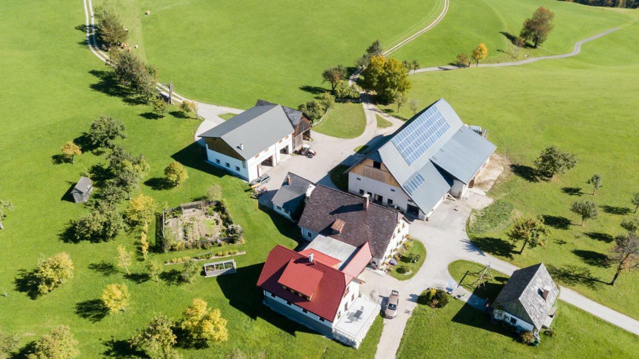 Biobauernhof Obereck Daire Göstling an der Ybbs Dış mekan fotoğraf